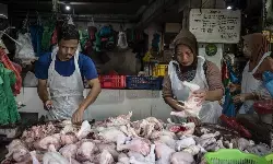 Cabai rawit merah Rp50.115 per kg, daging ayam Rp38.458 Rabu ini