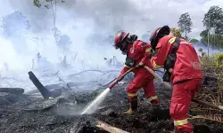 Kemenhut intensif padamkan kebakaran hutan di sejumlah wilayah Kalbar