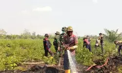 Kebakaran lahan di Aceh Barat meluas menjadi 50,2 Ha