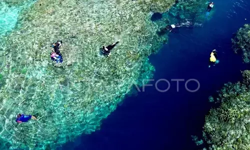 RI jamin program konservasi terumbu karang bersama AS berjalan