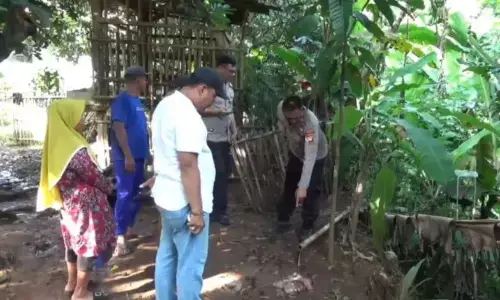 Polisi olah TKP pencurian hewan ternak di Setu Bekasi