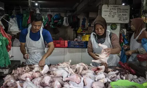 Cabai rawit merah Rp50.115 per kg, daging ayam Rp38.458 Rabu ini