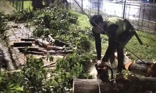 Petugas evakuasi pohon tumbang yang menimpa rumah dinas di Jaktim