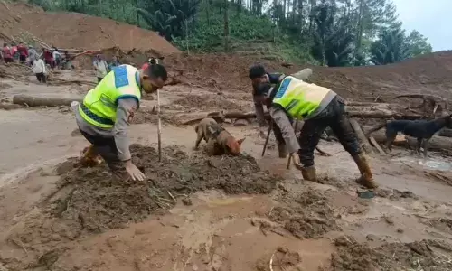 Polisi kerahkan K-9 bantu pencarian satu korban longsor di Watukumpul