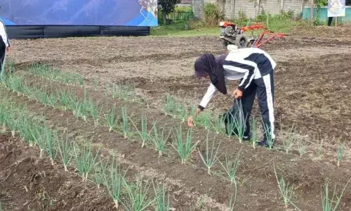 Menjaga ketahanan pangan mulai dari bangku sekolah