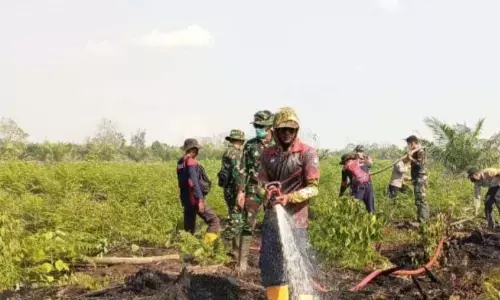 Kebakaran lahan di Aceh Barat meluas menjadi 50,2 Ha