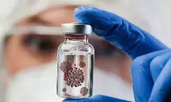 Kemlu awasi perkembangan virus Nipah di India Kemlu awasi perkembangan virus Nipah di India