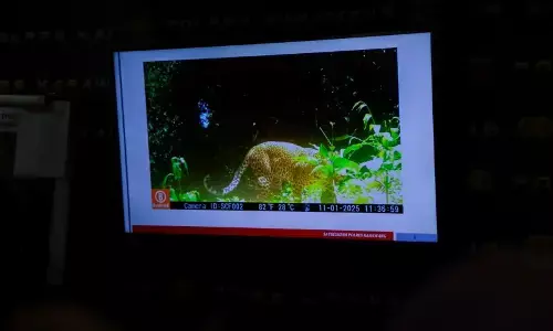 Polres Karawang bekuk lima pelaku perburuan liar di Gunung Sanggabuana