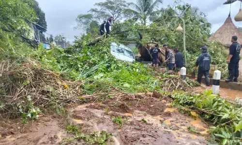 BPBD Gianyar evakuasi material longsor jalur wisata Ceking-Kintamani