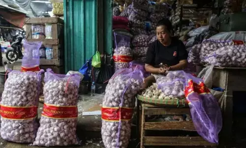 Kemendag: Bawang putih impor segera masuk, harga ditargetkan turun