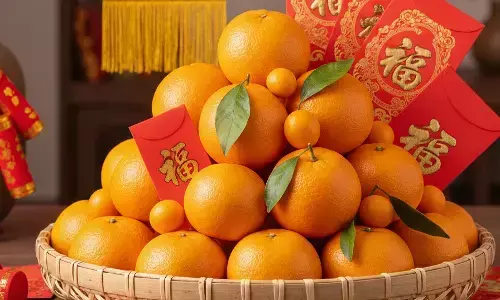 Buah jeruk dalam tradisi Imlek: simbol rezeki dan keberuntungan
