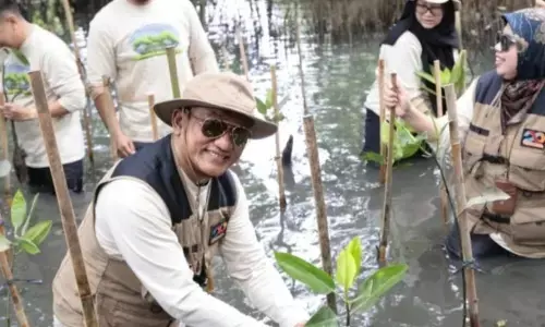 Finnet tanam mangrove di Jakarta Utara