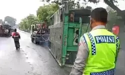 Polisi periksa sopir truk kontainer yang terguling di Cilincing