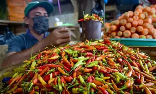 Cabai rawit merah Rp53.854/kg, telur ayam Rp29.938/kg Jumat ini