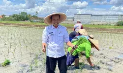 DKP Tangerang diminta antisipasi cuaca ekstrem terhadap panen beras DKP Tangerang diminta antisipasi cuaca ekstrem terhadap panen beras