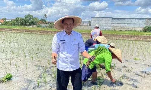 DKP Tangerang diminta antisipasi cuaca ekstrem terhadap panen beras