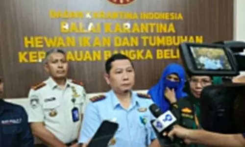 BKK Pangkalpinang utamakan pencegahan masuk virus nipah