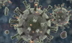 Virus Nipah: kenali gejala awal yang sering dianggap flu biasa