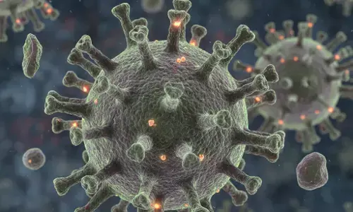 Virus Nipah: kenali gejala awal yang sering dianggap flu biasa Virus Nipah: kenali gejala awal yang sering dianggap flu biasa