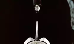 3 Februari 1984: Satelit Palapa B2 diterbangkan ke luar angkasa 3 Februari 1984: Satelit Palapa B2 diterbangkan ke luar angkasa