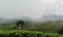 BRIGADE tutup jalur pendakian ke puncak Gunung Dempo BRIGADE tutup jalur pendakian ke puncak Gunung Dempo