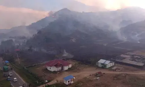 BPBD: 20 hektare kebun di Parigi Moutong terdampak karhutla