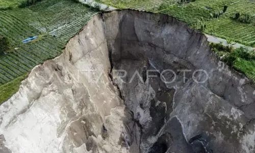 Dinas ESDM: Tanah bergerak di Aceh Tengah meluas hingga 30 ribu m²