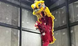 Tim juara dunia barongsai akan tampil di acara perayaan Imlek nasional