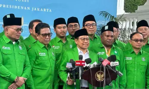 PKB tegaskan dukung program pemerintah saat audiensi dengan Prabowo