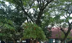 Polres Karawang gelar bersih-bersih sekolah setelah banjir Polres Karawang gelar bersih-bersih sekolah setelah banjir