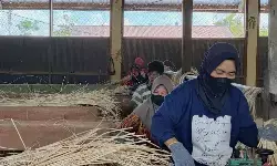 BPS catat 95 dari 100 orang angkatan kerja sudah memiliki pekerjaan