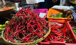 Bapanas dan PMJ jaga harga dan mutu pangan di Jakarta-Jabar-Banten Bapanas dan PMJ jaga harga dan mutu pangan di Jakarta-Jabar-Banten