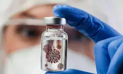 Ini asal mula nama virus Nipah menurut pakar