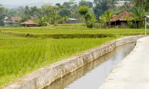 Kementan fokus perkuat irigasi hadapi cuaca ekstrem