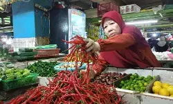 Jelang Ramadhan, harga cabai rawit di Pasar Jatinegara mulai naik