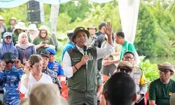 Menhut pastikan tambak aman meski ditanami mangrove