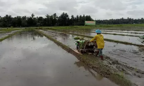 Bantul realisasikan program pembebasan PBB lahan pangan berkelanjutan