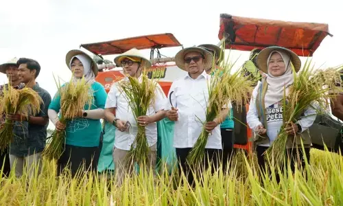 Pemkab Pati buktikan keberhasilan program panen padi 10 ton/hektare