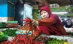Bapanas rilis harga cabai dan bawang merah terbaru Bapanas rilis harga cabai dan bawang merah terbaru