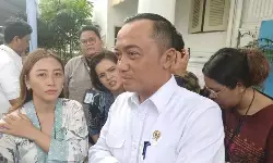 Istana: Penghapusan tunggakan BPJS tak perlu tunggu Perpres