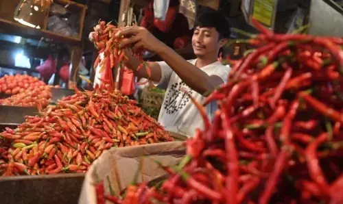 BPS catat harga rata-rata cabai rawit naik jadi Rp63 ribu per kg