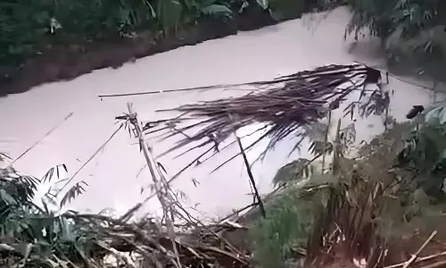 Aliran sungai di Serpong Tangsel diduga tercemar bahan kimia