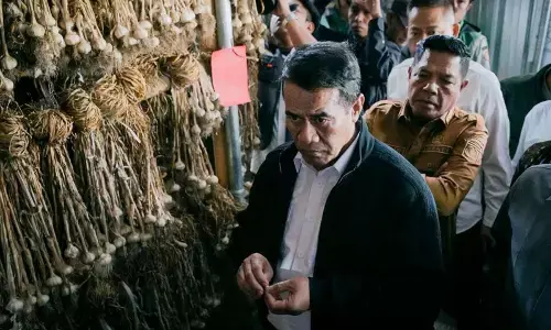 Menteri Pertanian dukung produksi bawang putih di Lombok Timur