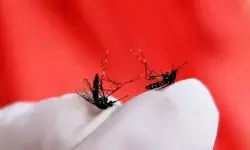 Pemkot Jaksel ajak warga terapkan 3M Plus untuk cegah DBD