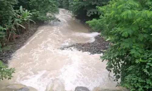Polisi periksa 5 saksi kebakaran gudang kimia di Tangsel, diduga cemari sungai