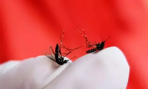 Pemkot Jaksel ajak warga terapkan 3M Plus untuk cegah DBD