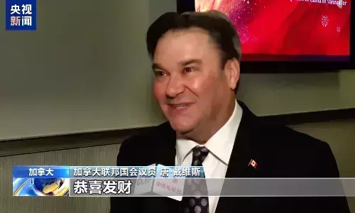 Kedutaan dan Konsulat Tiongkok di Luar Negeri Adakan Beragam Kegiatan untuk Rayakan Tahun Baru Imlek