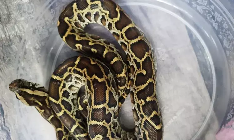 Kemenhut amankan warga Rusia berupaya selundupkan 202 satwa liar