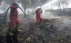 Kemenhut intensif padamkan karhutla di wilayah Riau dan Kepulauan Riau