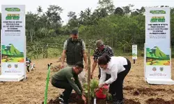 BLDF tanam 60.321 bibit untuk penghijauan di kawasan lereng Muria Kudus